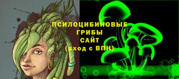 крисы Сатка